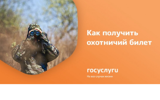 Как получить охотничий билет через госуслуги